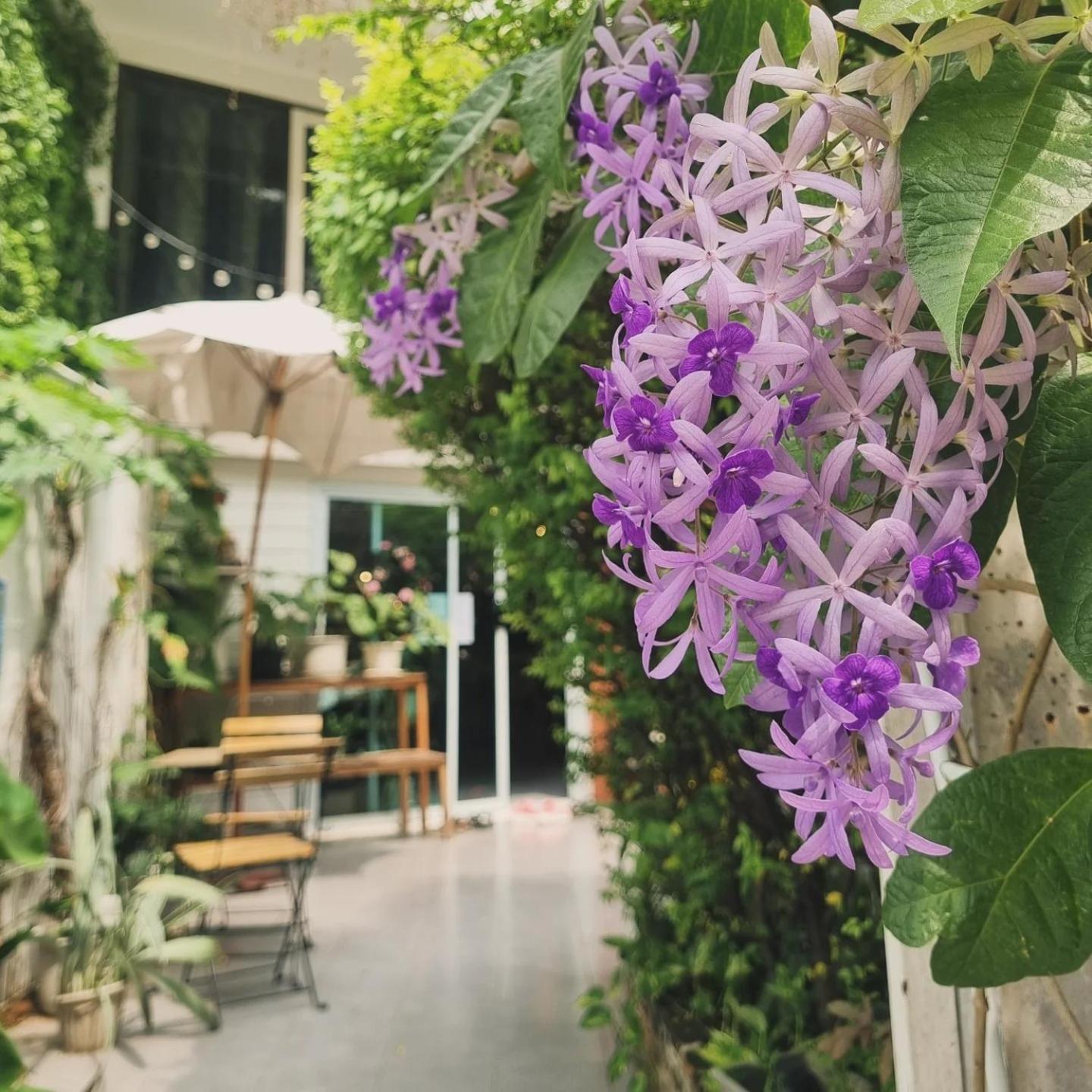 Home16 Sukhumvit16 Bangkok Kültér fotó